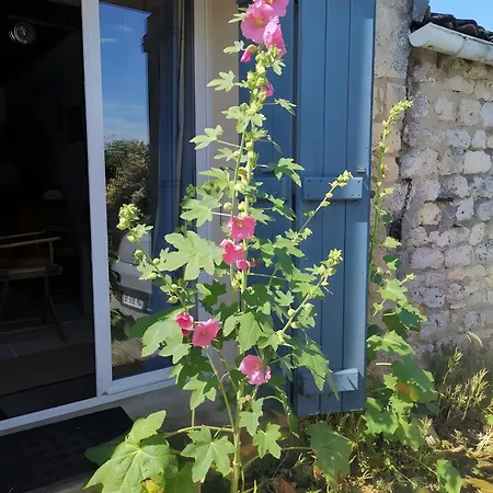 Hébergement de vacances Cotinière Saint-Pierre-d'Oleron