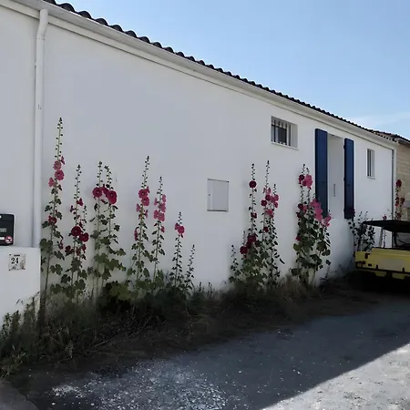 Cotinière *