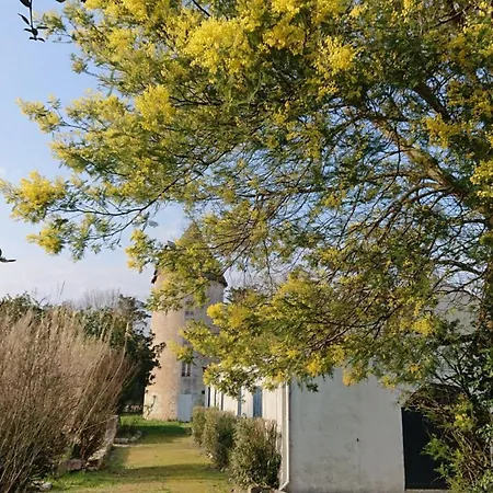 Cotinière